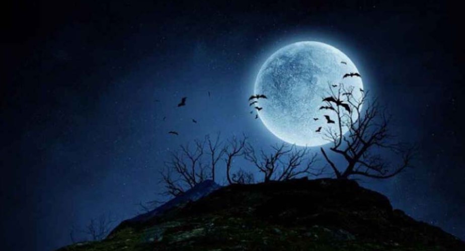 আজ বছরের সবচেয়ে দীর্ঘ রাত